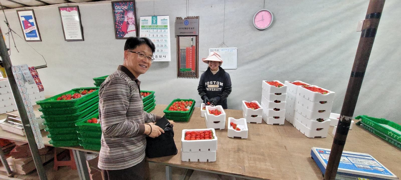 5월 농축산방문상담