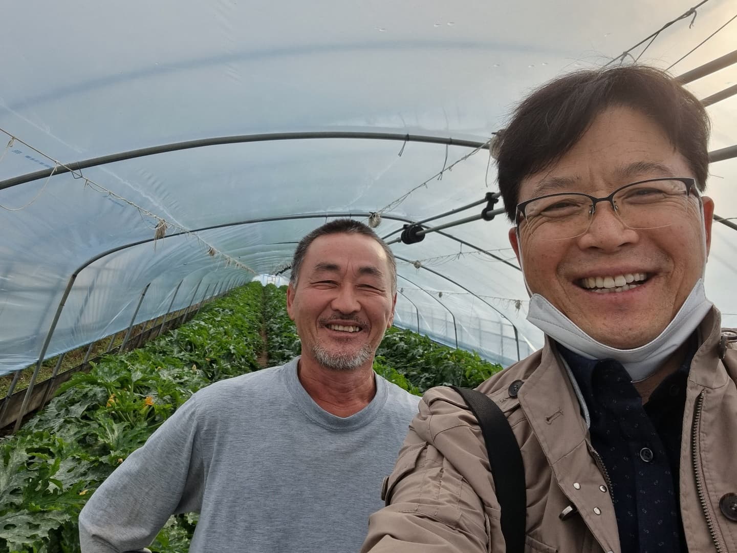 농축산방문상담(23일)-장지토마토