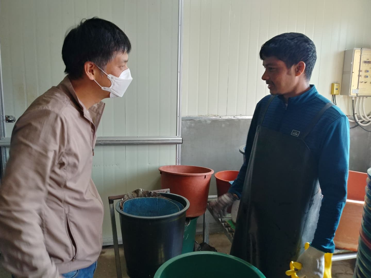 농축산 방문상담(강변콩나물)